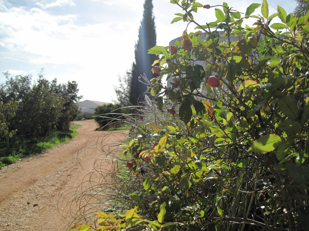 Quinta Das Seis Marias Villa Lagos Esterno foto