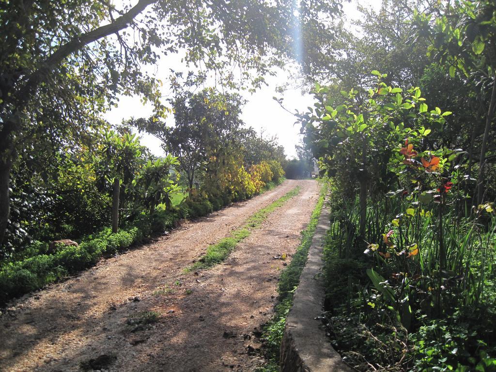 Quinta Das Seis Marias Villa Lagos Esterno foto