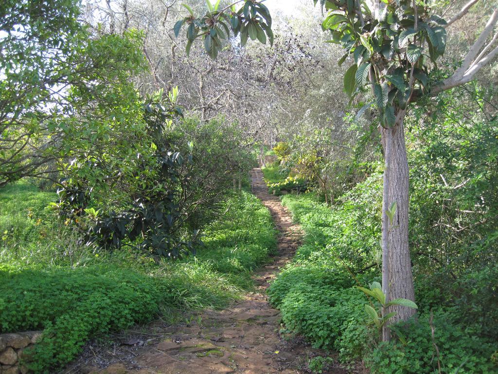 Quinta Das Seis Marias Villa Lagos Esterno foto